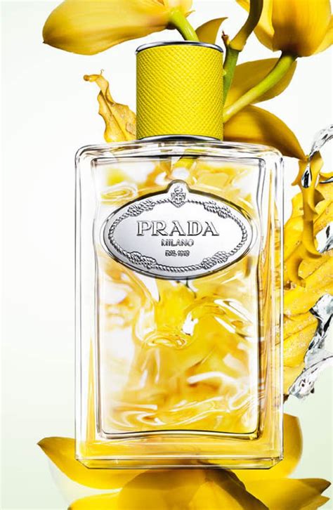 prada infusion d ylang|infusion d'ylang Prada.